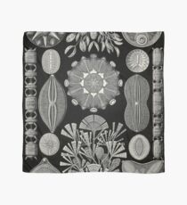 Diatomea - Ernst Haeckel Scarf
