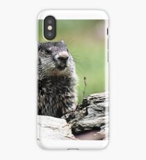 WHO IS THAT iPhone Case