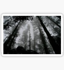 Misty Wood Sticker