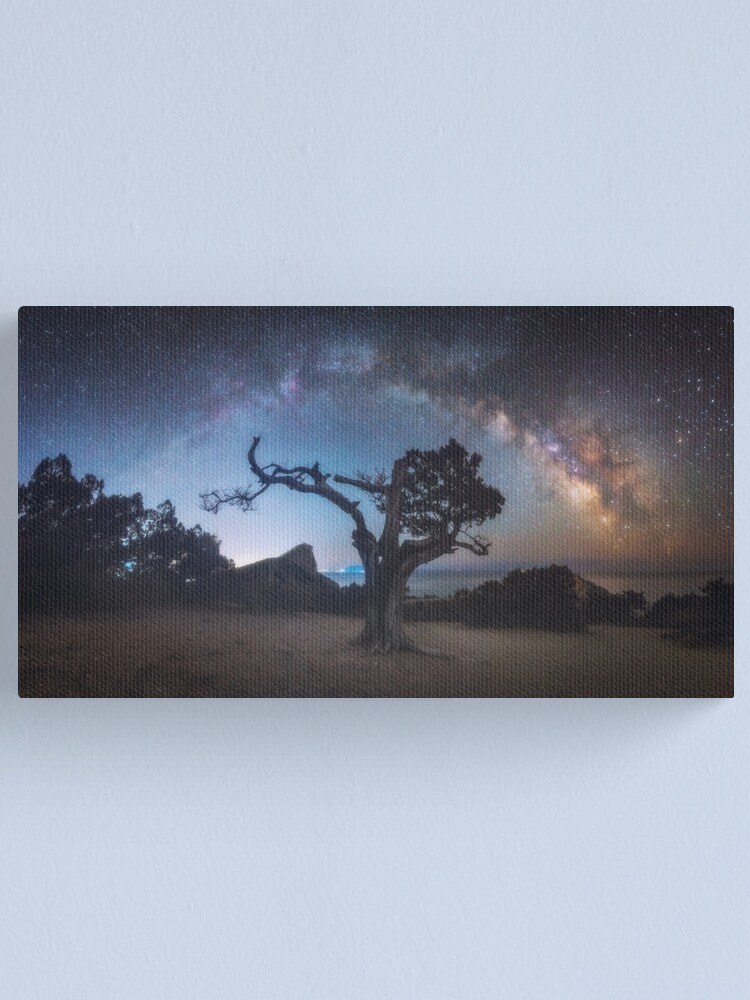 Alternate view of Old juniper Canvas Print