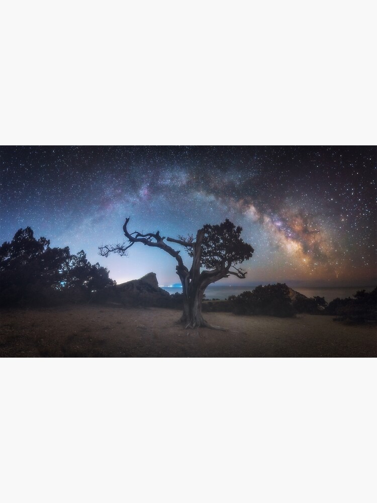 Old juniper by Eugenstellar