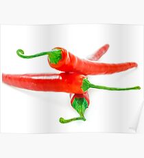 Chili Poster