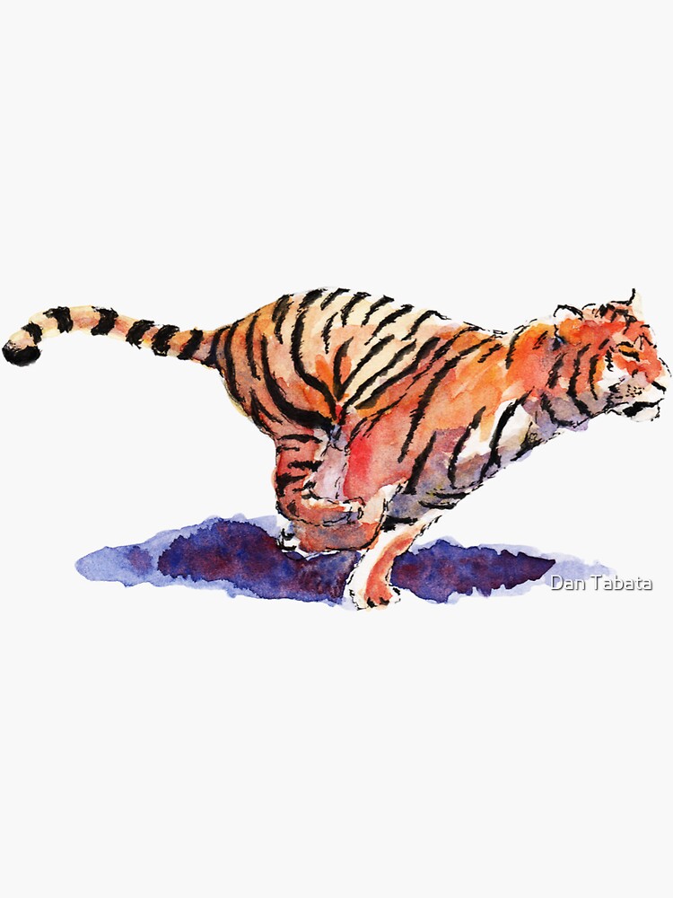 The Tiger by dmtab