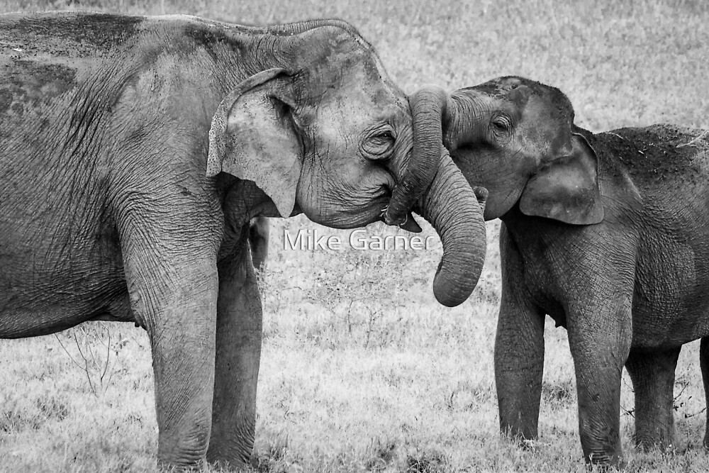 kissing elephants figurine