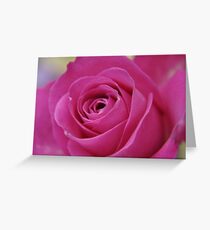 rose Greeting Card