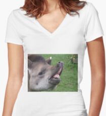Cheeessse!!! Women's Fitted V-Neck T-Shirt