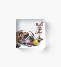 Boy's Toys Acrylic Block