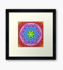 Sunny Flower of Life Framed Print