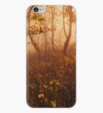 Fairyland iPhone Case
