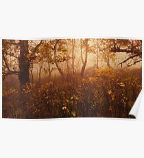 Fairyland Poster