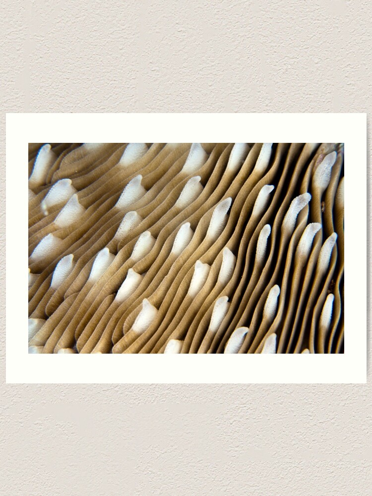 Alternate view of White caps Art Print