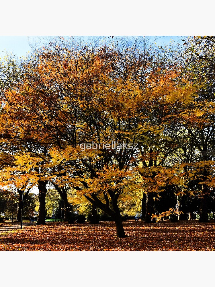 Autumnal scene by gabriellaksz