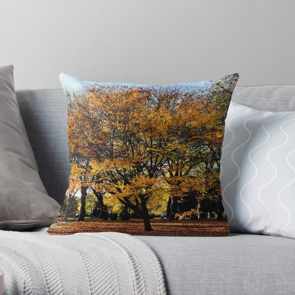Autumnal scene Throw Pillow