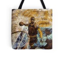 lebron purse