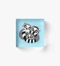 Cuddly Ring Tailed Lemurs Acrylic Block