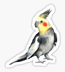 nymfparakit Sticker