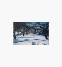 NYC Park in the Snow Art Board