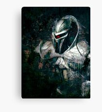 Centurion II Canvas Print
