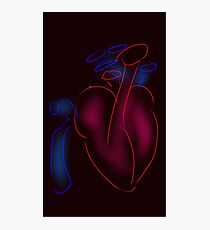 Heart and Great Vessels Cartoon Photographic Print