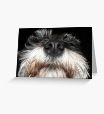 Good Morning! Greeting Card