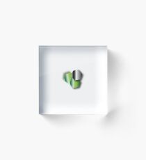 Blandford logo Acrylic Block