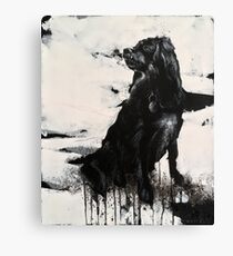 Harry Canvas Print