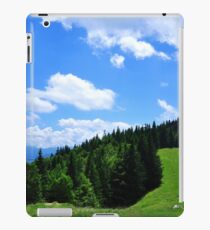 Landscape iPad Case/Skin