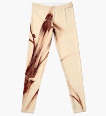 Old Friends - Sumie Ladybug & Bamboo Painting Leggings