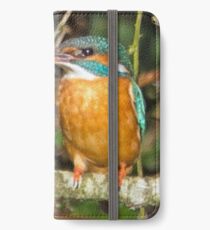 Female Kingfisher iPhone Wallet/Case/Skin