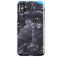 iphone 6 case labradoodle iphone 6 case labradoodle