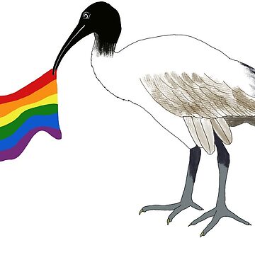 Artwork thumbnail, Pride Bin Chicken by AmyAlexCampbell