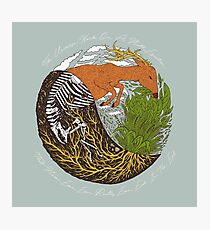 Plants & Animals Photographic Print