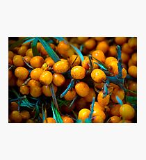 Sea Buckthorn Photographic Print
