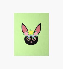 Baby_bunny_1 Galeriedruck