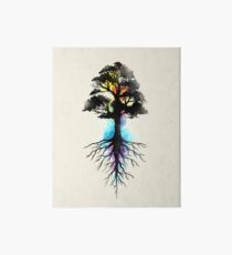 Natural Source Art Board