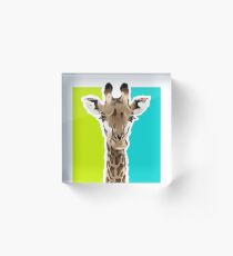 GIRAFFE Acrylic Block