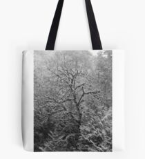 Das Studium eines Baumes Tote Bag