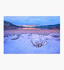 Nature's Sculpture Photographic Print