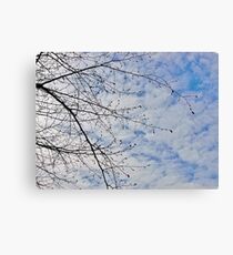 Cloudy Sky Canvas Print
