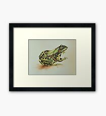 Amphibian Framed Print