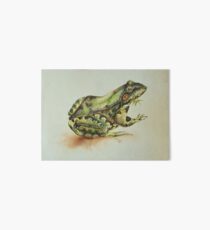 Amphibian Art Board