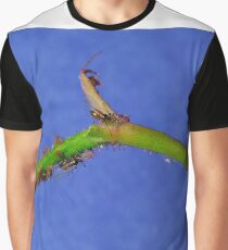 Rose Aphids Graphic T-Shirt