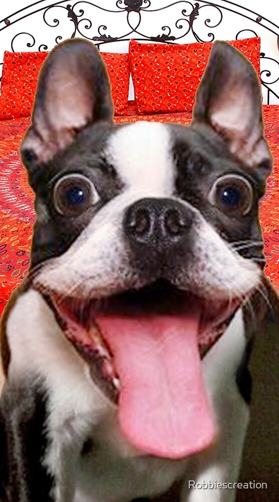 Drôle Goofy Boston Terrier Drôle Essayez Juste De Ne Pas