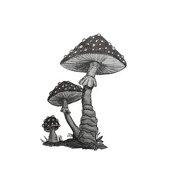 Mushroom Stippling Pen Drawing Framed Art Print by Art by Raylie