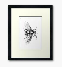 Flying Insect Framed Print