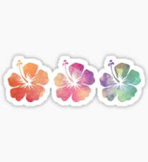 Three Hibiscus Flowers Sticker