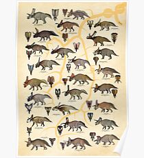 Ceratopsidae: Chasmosaurinae Dinosaurs (ver II) Poster