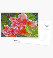 Newly trimmed hibiscus bush Postcards