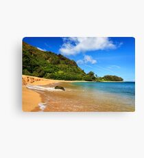 The Rock At Tunnels Beach Canvas Print