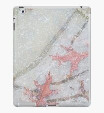 Frozen iPad Case/Skin